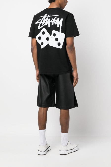 Dice Pig. Dyed Tee 1904883