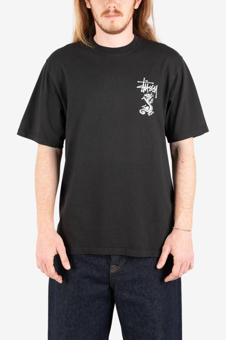 Double Dragon Pig. Dyed Tee 1905113