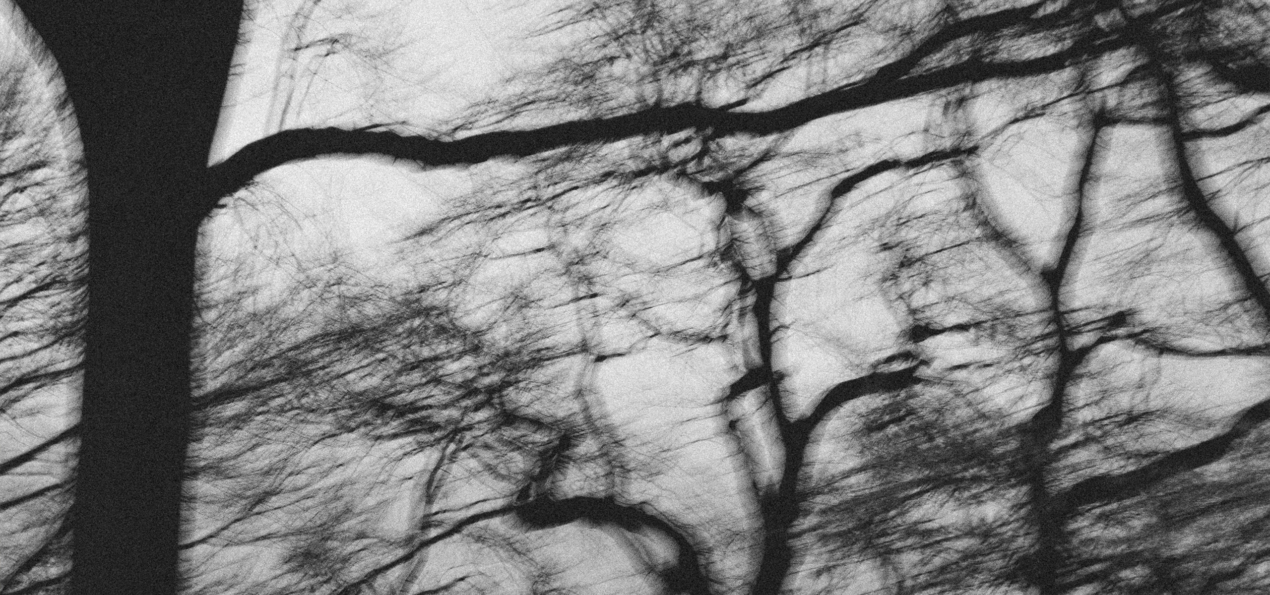 Société Anonyme & Lois Jeans Capsule collection